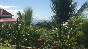 Un área exterior cercada con diversas plantas tropicales y un edificio de techo rojo al fondo.