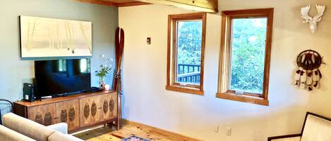 TV, fireplace, DVD player, books
