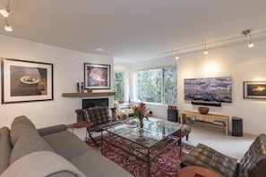 Smart TV, fireplace, DVD player, stereo - RIVER'S EDGE RETREAT- Riverfront Private Deck, Modern Finishes, Near Gondola (Telluride)