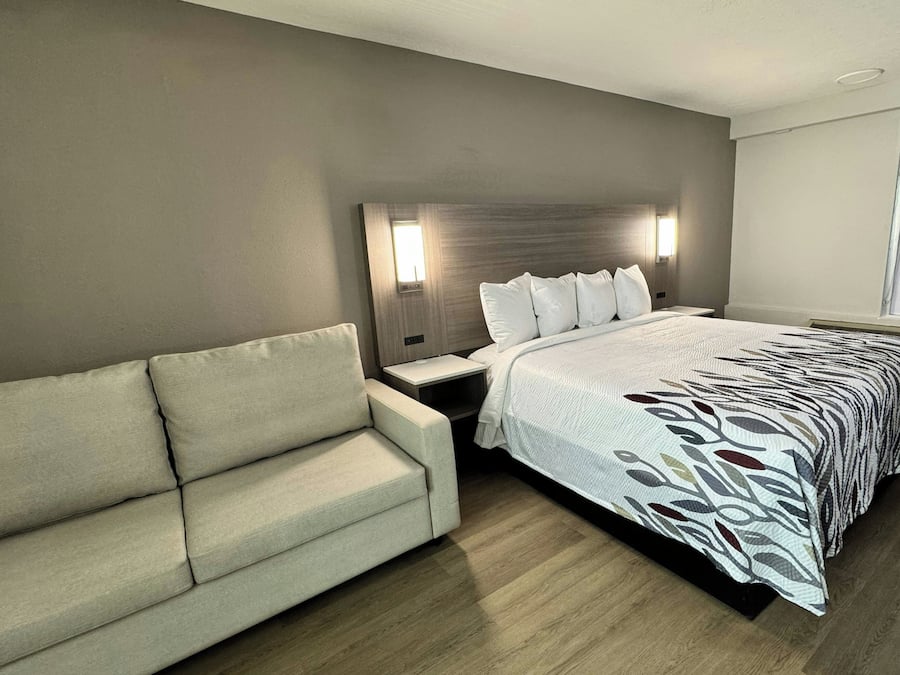 Superior Room, 1 King Bed with Sofa bed, Smoking | Down comforters, individually decorated, individually furnished, desk