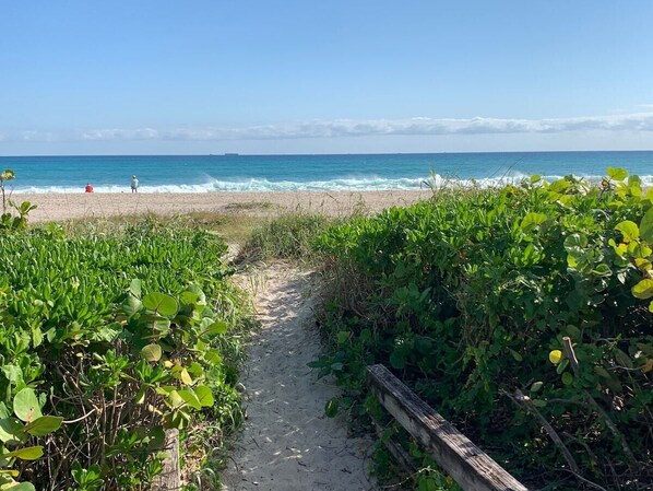 沙滩椅、沙滩毛巾