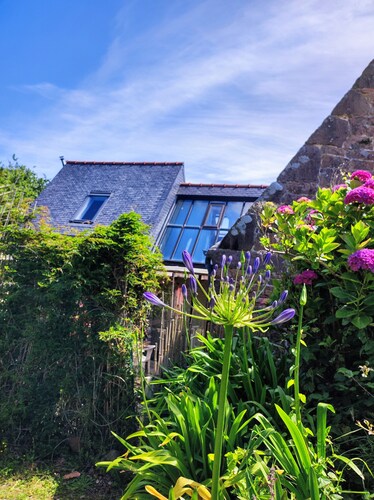 Bretonisches Steinhaus in Trégastel auf der Côte de Granit Rose