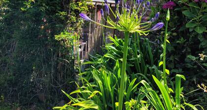 Breton stone house in Trégastel on the Pink Granite Coast