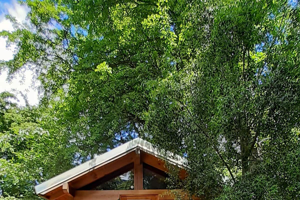 Eine Holzhütte mit geneigtem Dach, einer Haustür und einer kleinen Veranda.