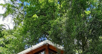 Hostel y Camping Los Coihues