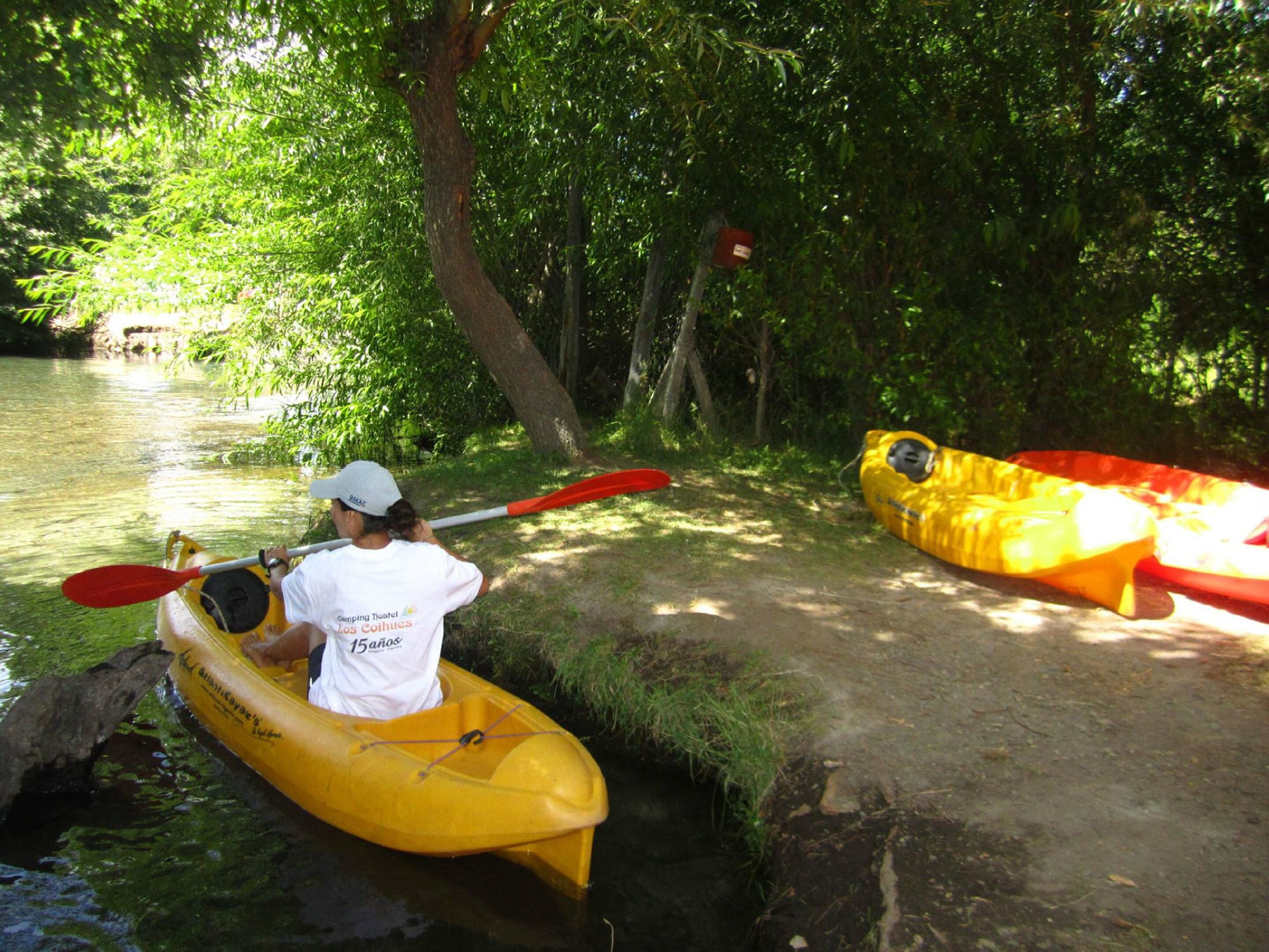 Photo - Los Coihues camping & hostel