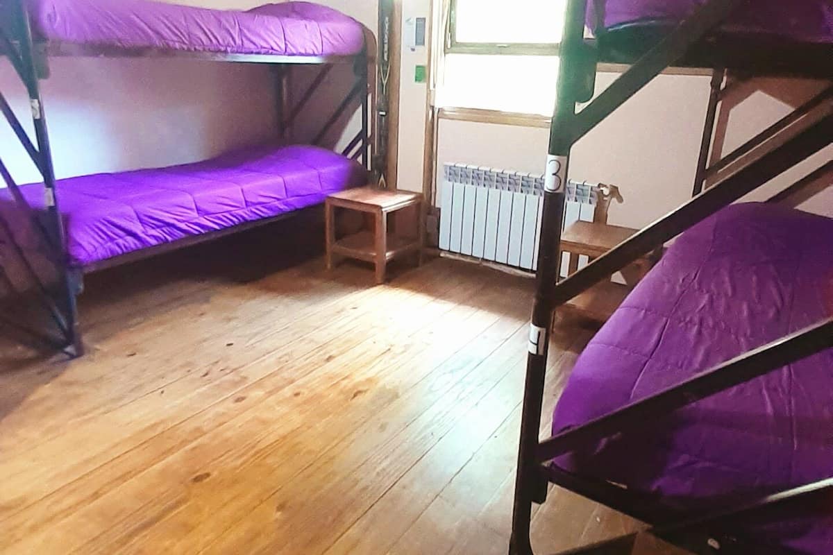 Ein Schlafsaalzimmer mit Etagenbetten, Holzböden und einem Fenster.