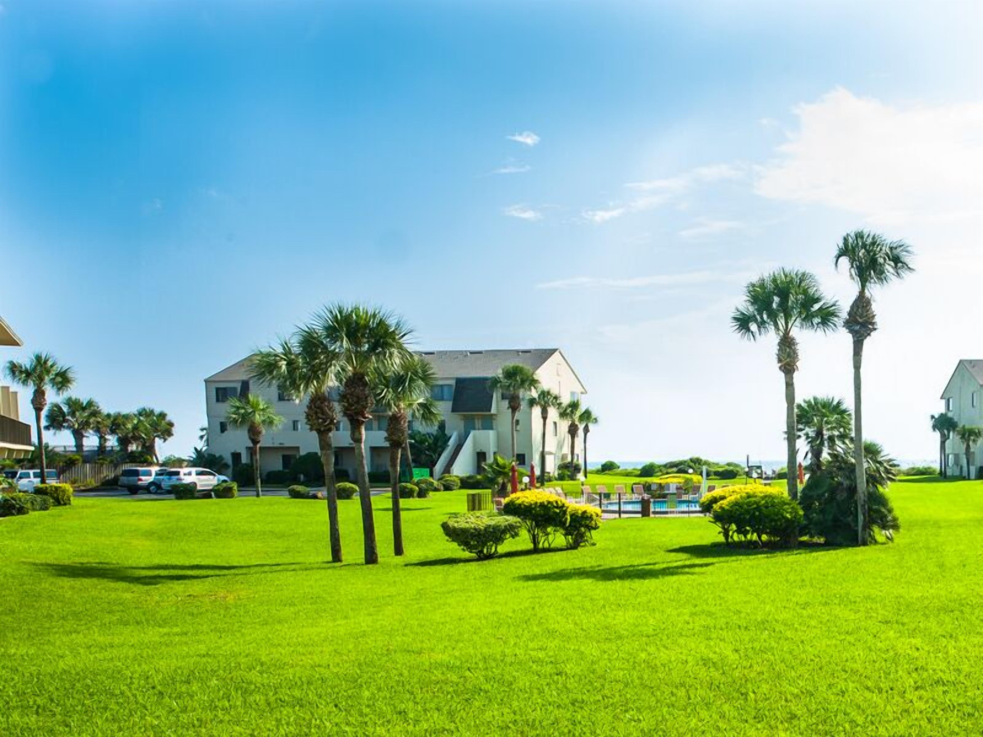 A well-maintained lawn with palm trees and a large building in the background.