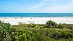 Ein Strand mit blauem Himmel, sandigem Ufer und etwas Grün im Vordergrund.