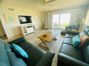 TV, DVD player, books