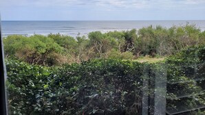 Vista do oceano por uma janela com vista para vegetação densa.
