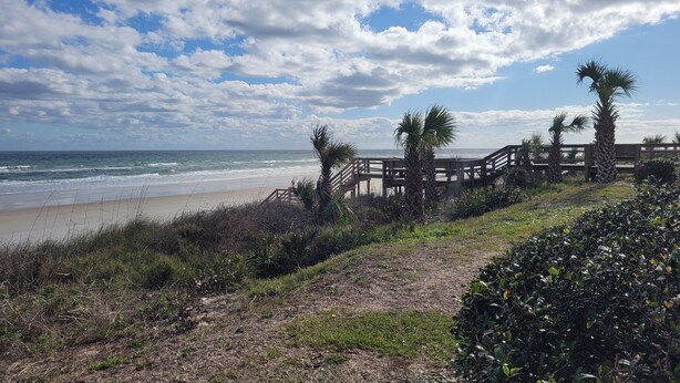 Une plage avec une promenade en bois menant à l’océan, entourée de palmiers et de végétation luxuriante.