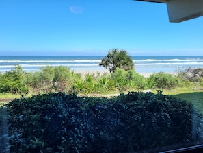 Une vue sur l’océan, prise depuis une fenêtre donnant sur une plage bordée d’une végétation luxuriante au premier plan.