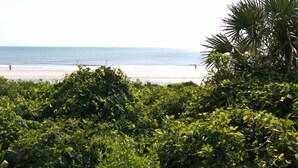 A beach with dense foliage in the foreground and a clear view of the sea. - Oceanfront 2 Bedroom Flat Summerhouse 301 (ST. AUGUSTINE)