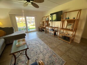 TV, DVD player, books, stereo