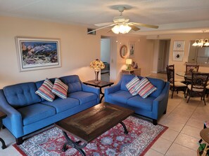 TV, DVD player, books