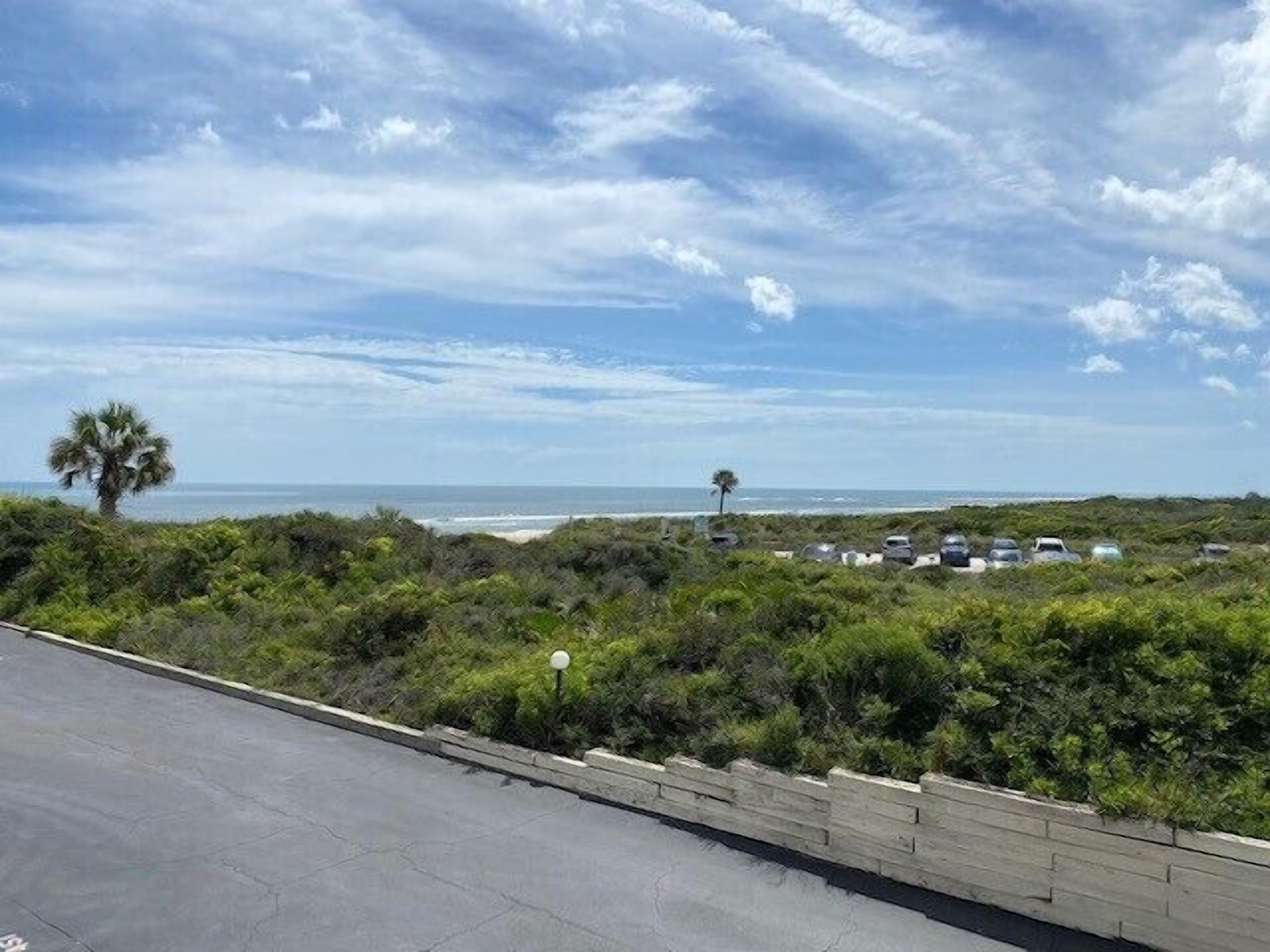 A coastal road with parked cars, a palm tree, and a view of the ocean.