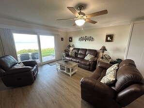 Smart TV, chimenea, reproductor de DVD y libros 