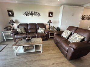 Smart TV, chimenea, reproductor de DVD y libros 