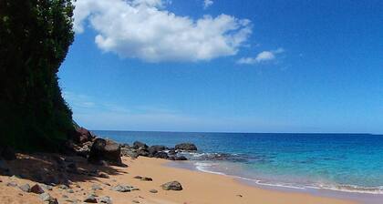 ESTUDIO MALACA - TERRAZA CON VISTAS AL MAR Y PISCINA