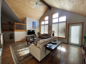 Smart TV, fireplace, DVD player, books