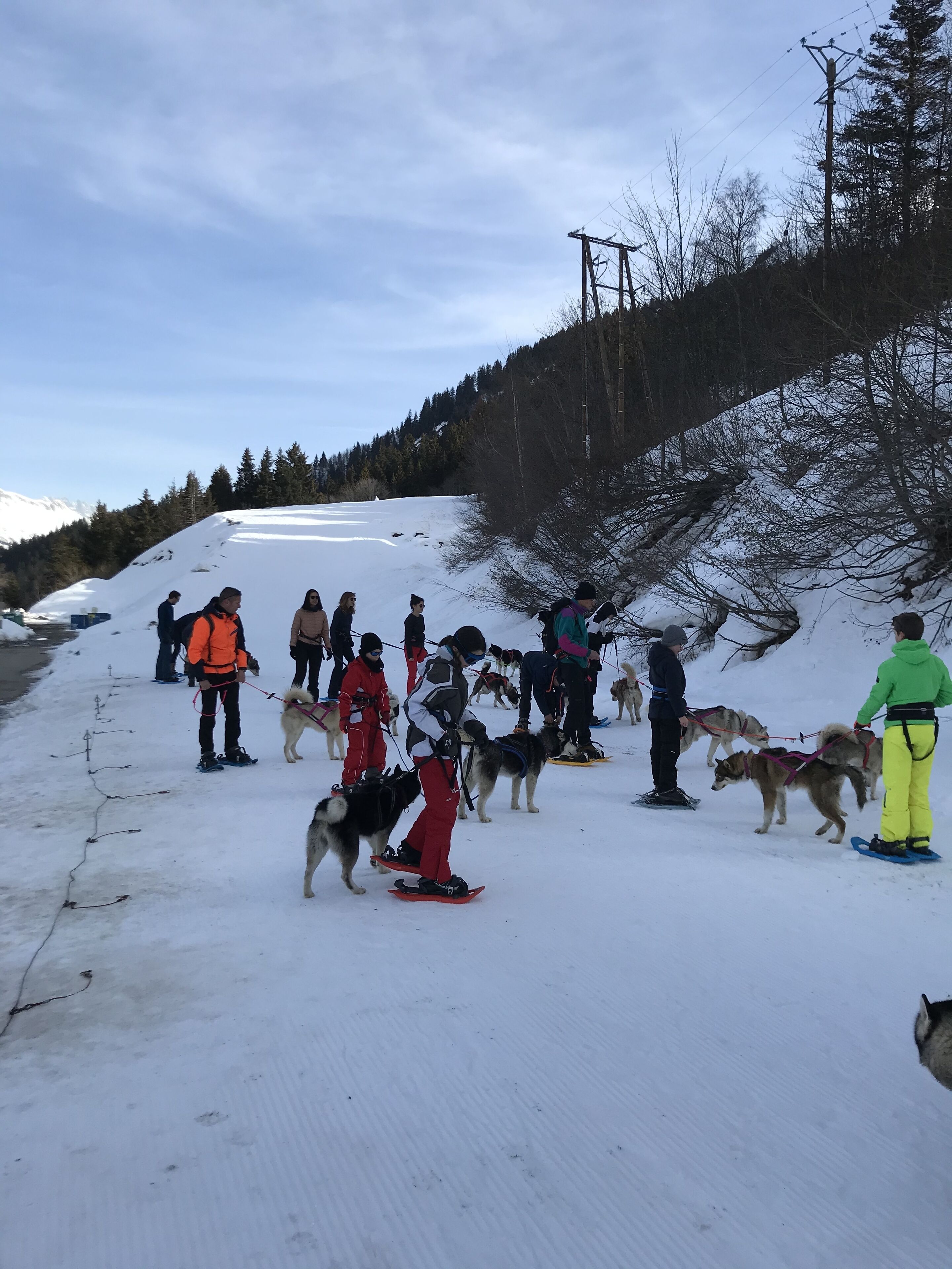 Un grup de persones i uns gossos de trineu sobre una pendent nevada, probablement preparant-se per a una activitat amb trineu.