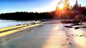 Ein Strand mit Fußspuren und einem Vogel im Sand.