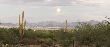 A desert landscape with cacti and sparse vegetation, a distant body of water, and mountains in the background.
