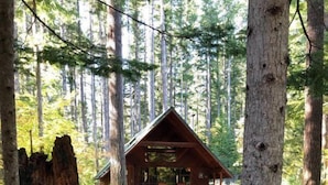 Uma cabana com varanda coberta, rodeada por árvores altas e um chão florestal com pedras e musgo.