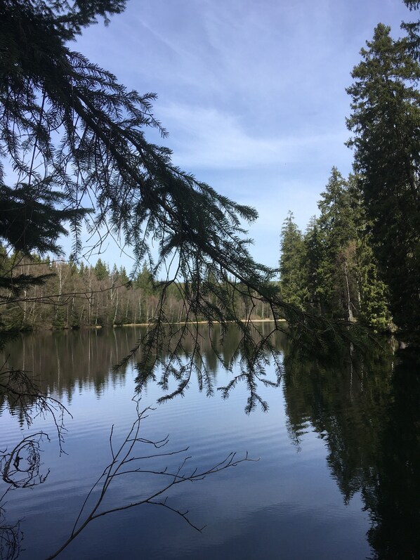 A calm lake with reflections of trees and a clear sky.