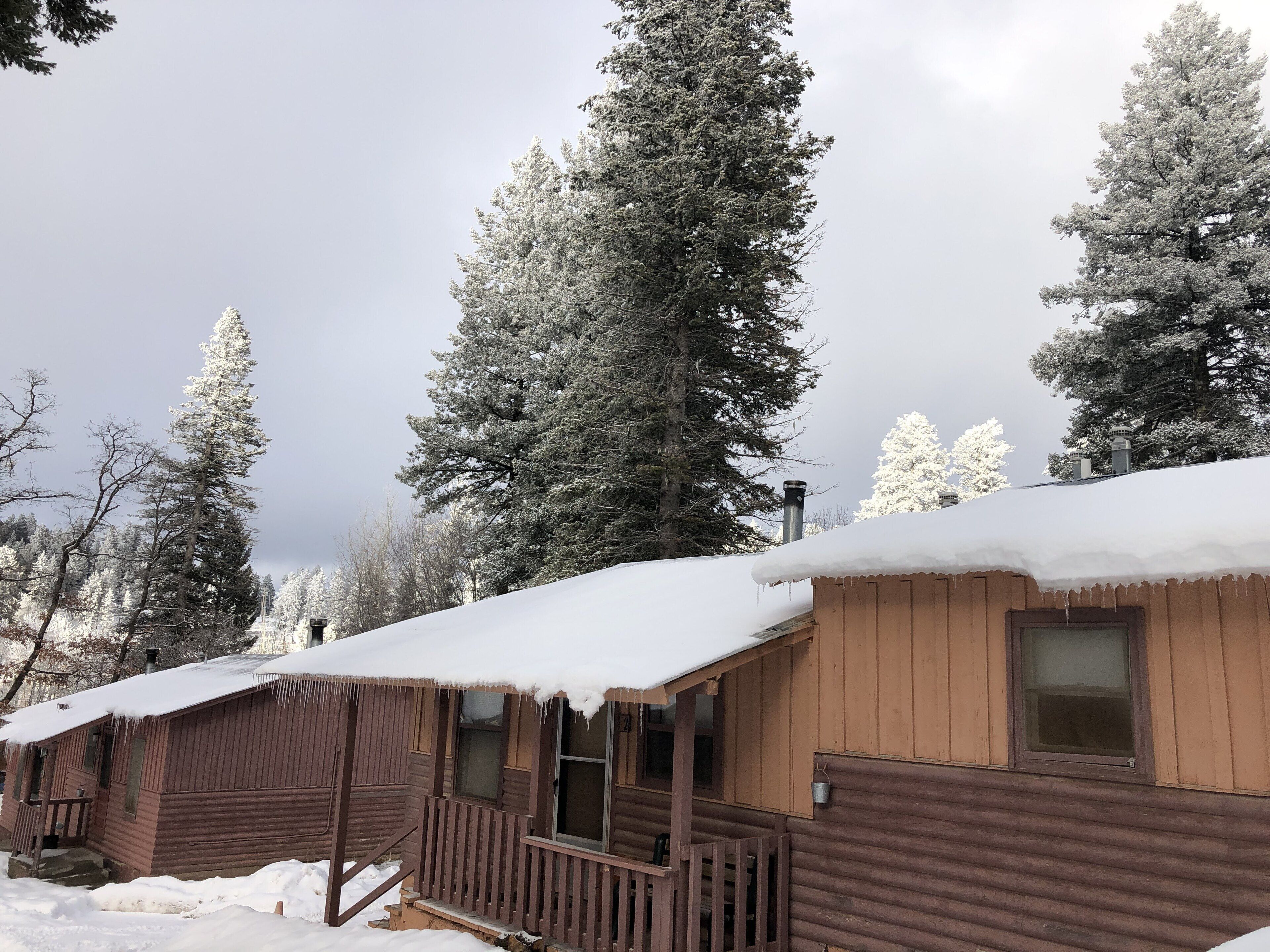 Une cabane en bois, dont le toit est recouvert de neige, entourée de grands arbres chargés de neige.