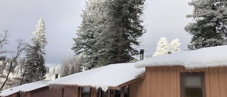 Une cabane en bois, dont le toit est recouvert de neige, entourée de grands arbres chargés de neige.