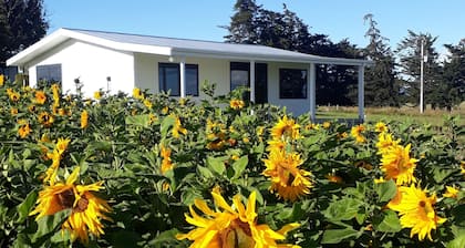 The Sun set Cottage 5min from Oamaru or Kakanui