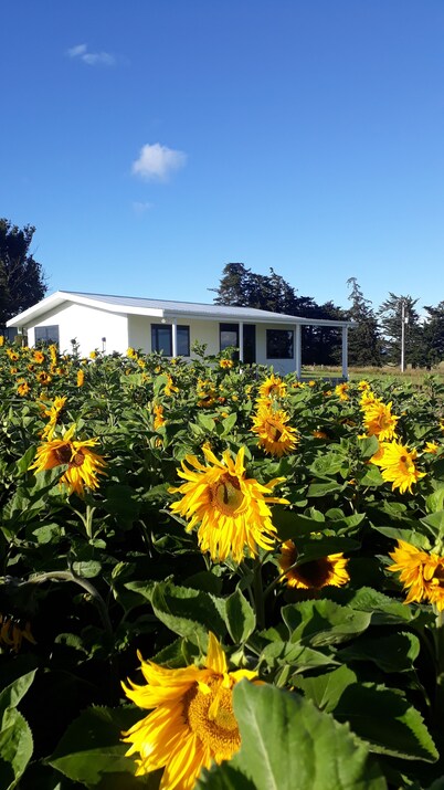 The Sun set Cottage  5min from Oamaru or Kakanui 