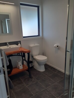 Douche, sèche-cheveux, serviettes fournies, papier toilette