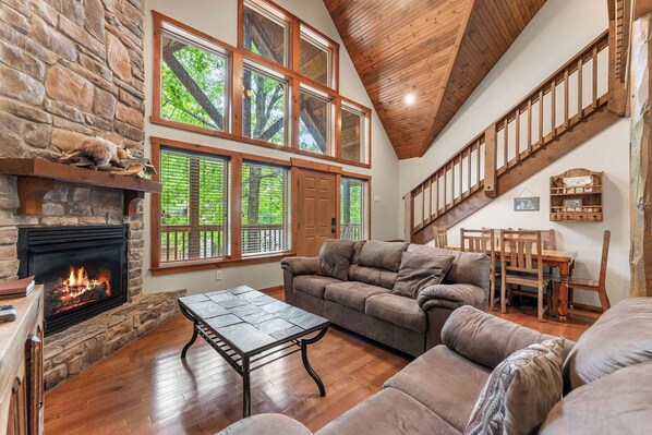 Smart TV, fireplace, DVD player, video library