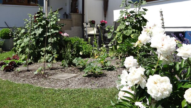 外観の詳細
