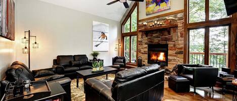 TV connectée, cheminée, lecteur de DVD, livres