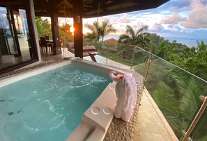A pool with a white elephant statue, surrounded by lush greenery and a scenic view of the ocean at sunset.