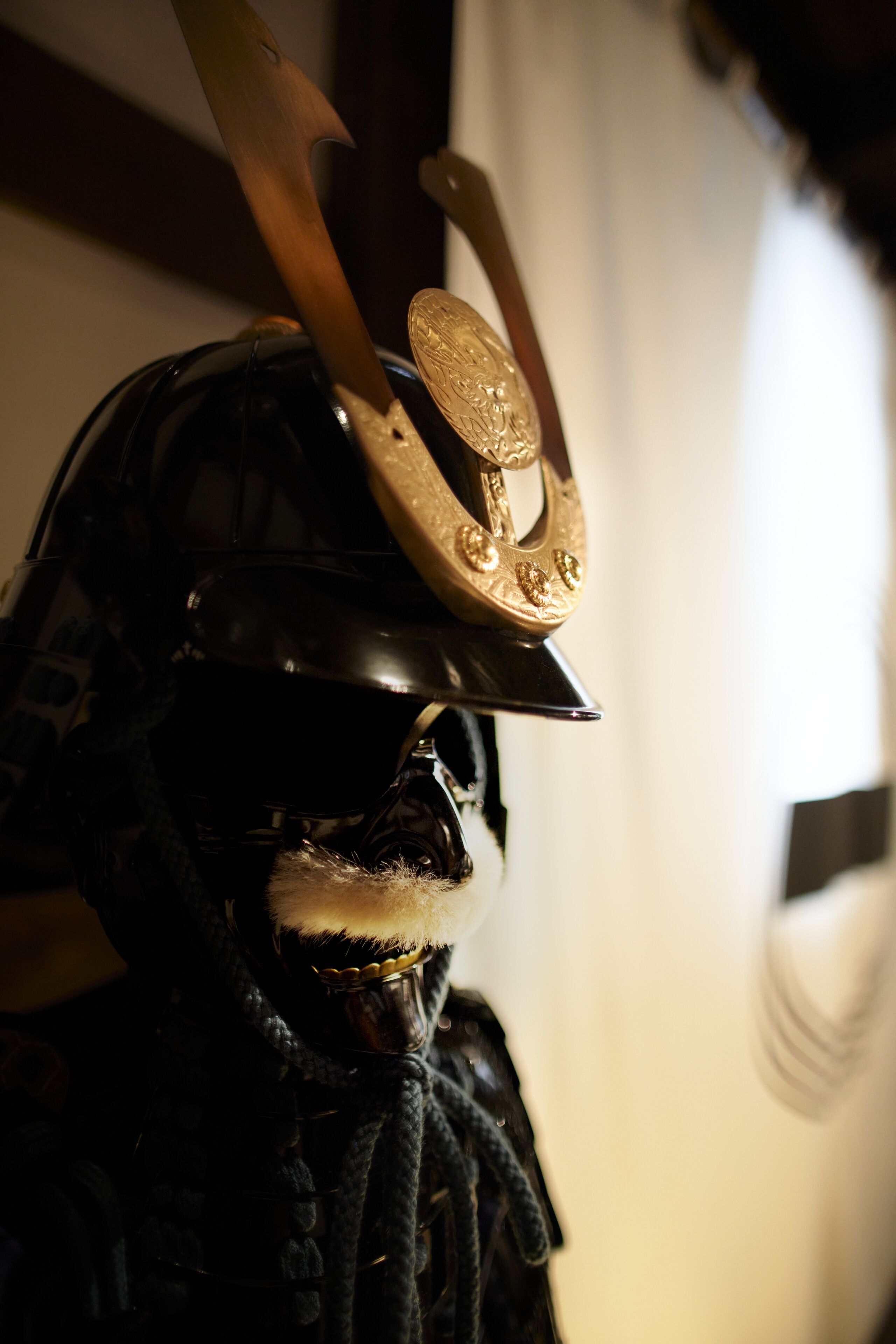 A close-up of a helmet with a decorative emblem and a sword.