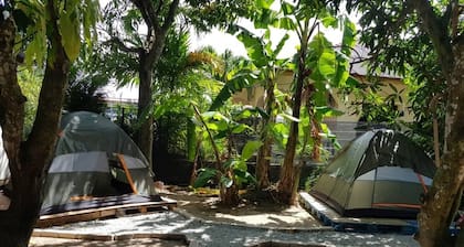 BObi's Cafe & Lodge Cenang Beach - Hostel