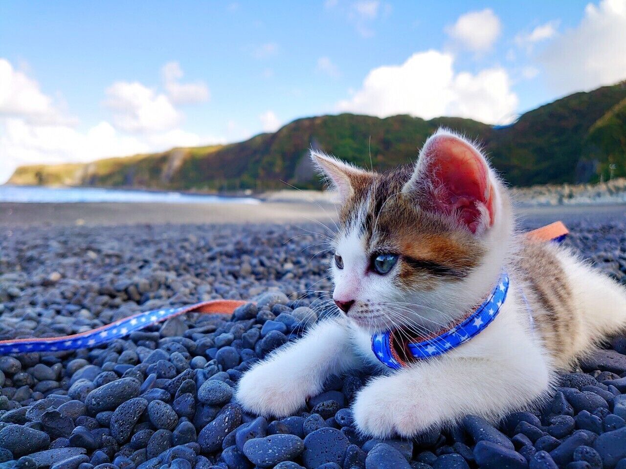beach nearby, black sand