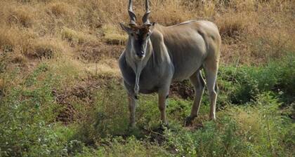 Beautiful home in Igoma
