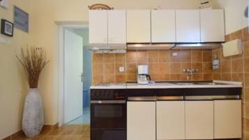 Apartment, 1 Bedroom, Terrace | Private kitchen | Fridge, microwave, stovetop, coffee/tea maker