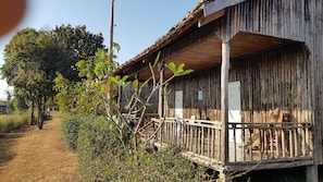 Habitación estándar con 2 camas individuales | Ropa de cama de alta calidad, camas con pillow-top y escritorio