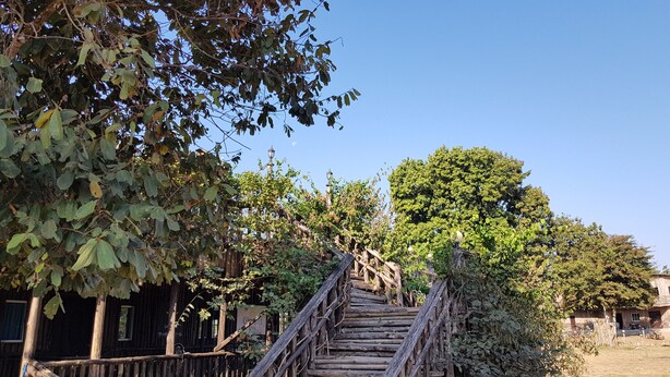 A rustic wooden staircase leading up to a house surrounded by dense foliage. - Dream Resort Farm (Lomsaktay)