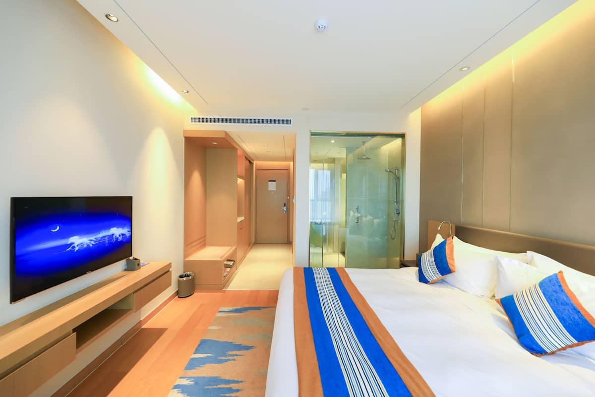 Chambre Affaires double | Minibar, bureau, rideaux d’obscurcissement, accès au Wi-Fi (inclus)