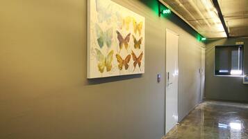 A hallway with a butterfly art installation on the wall, a door, and a window with blinds.