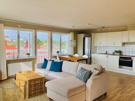 公寓 | 起居区 | 电视