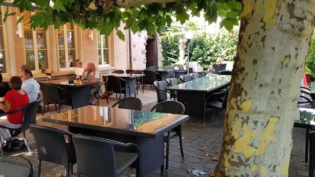 Een terras met tafels en stoelen onder een boom, omringd door een gebouw met grote ramen.